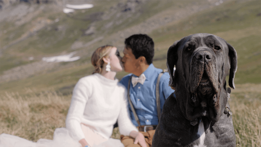 adventurous colorado hiking elopement with dogs san juan mountains silverton colorado